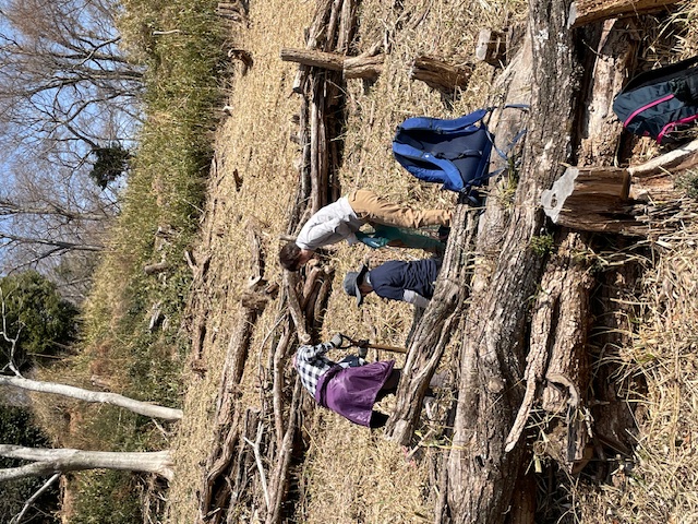 �����̗l�q(�ʐ^)