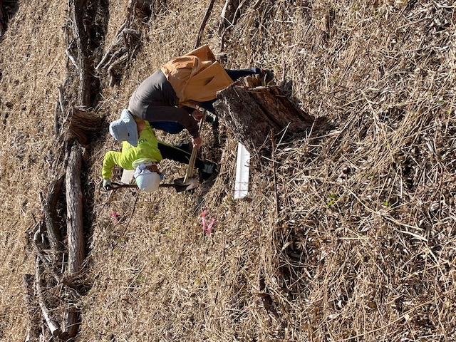 �����̗l�q(�ʐ^)