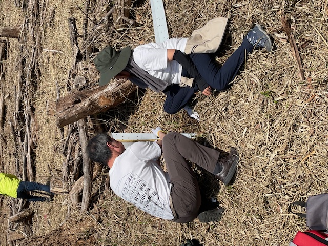 �����̗l�q(�ʐ^)