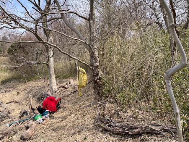 �����̗l�q(�ʐ^)