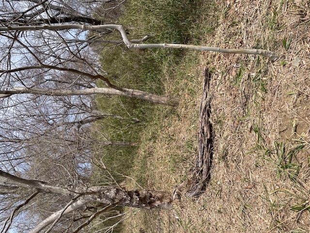 �����̗l�q(�ʐ^)