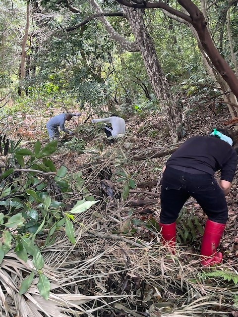 �����̗l�q(�ʐ^)