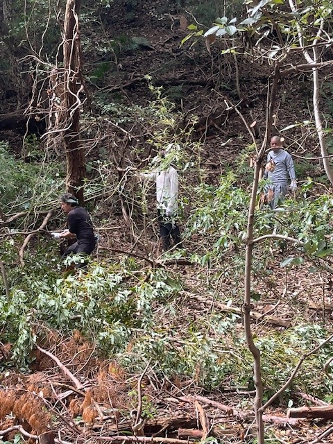 �����̗l�q(�ʐ^)