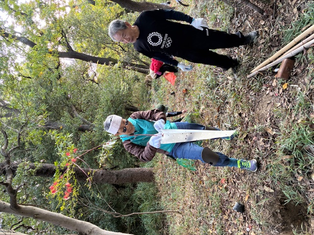 �����̗l�q(�ʐ^)