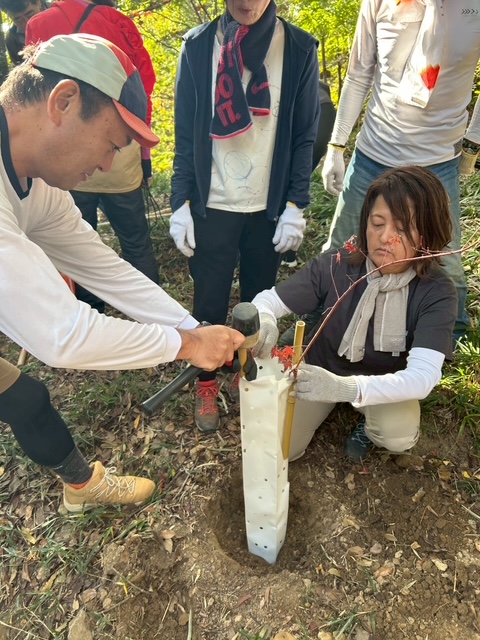 �����̗l�q(�ʐ^)