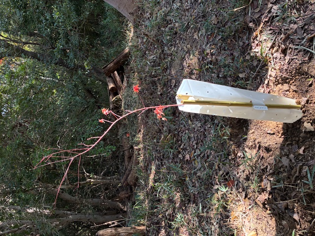 �����̗l�q(�ʐ^)