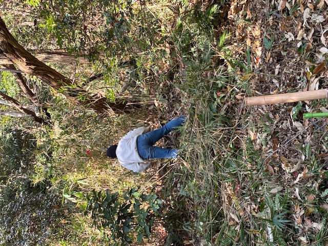 �����̗l�q(�ʐ^)