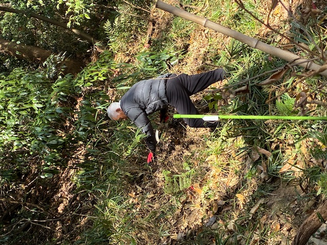 �����̗l�q(�ʐ^)