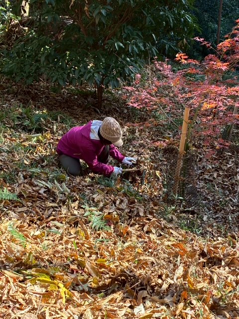 �����̗l�q(�ʐ^)