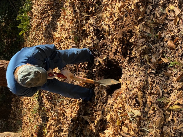 �����̗l�q(�ʐ^)