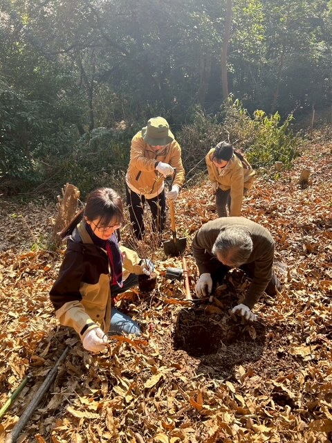 �����̗l�q(�ʐ^)