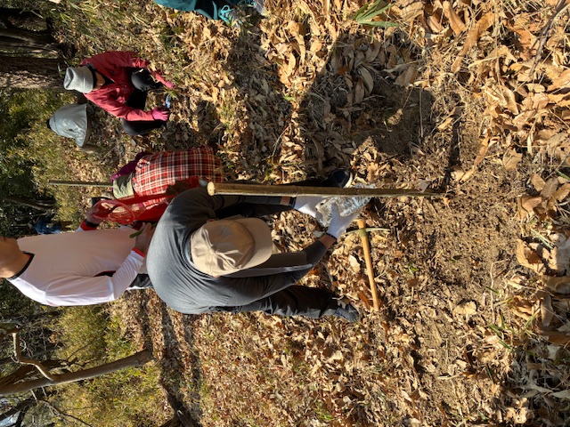 �����̗l�q(�ʐ^)