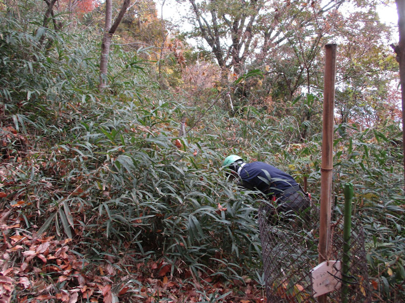 �����̗l�q(�ʐ^)