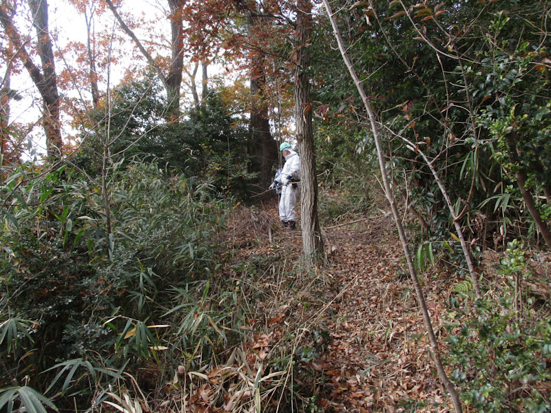 �����̗l�q(�ʐ^)