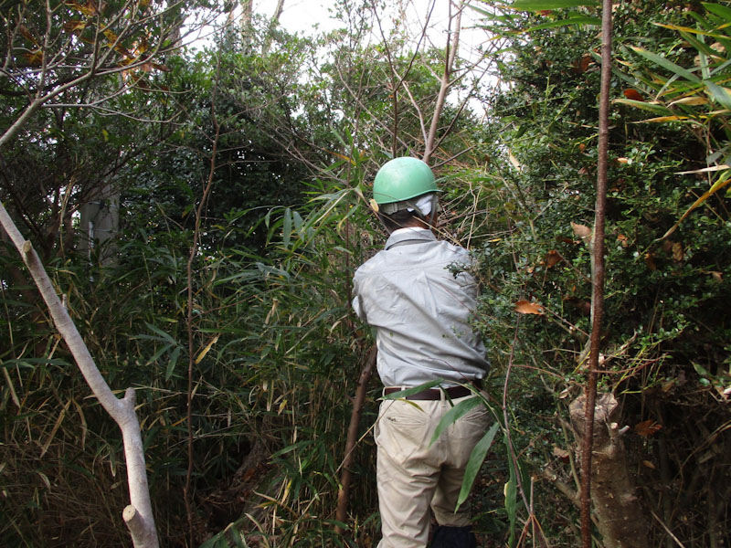 �����̗l�q(�ʐ^)