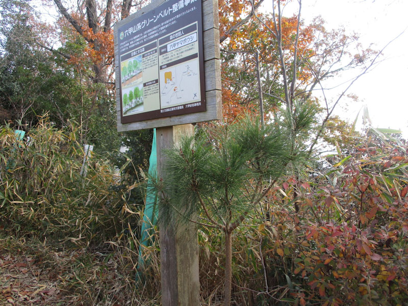 �����̗l�q(�ʐ^)