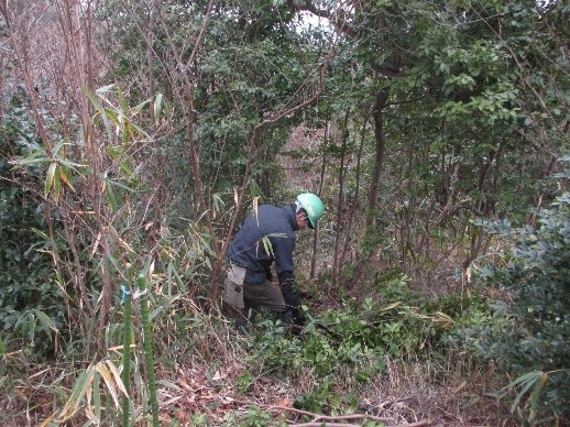 �����̗l�q(�ʐ^)