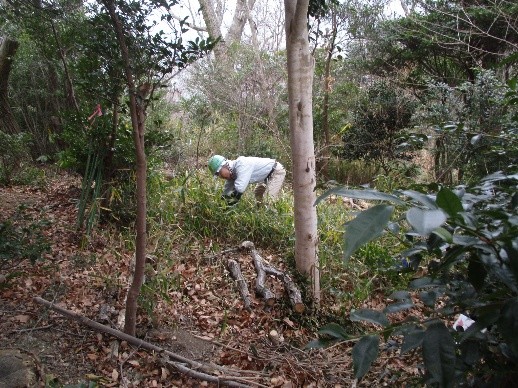 �����̗l�q(�ʐ^)