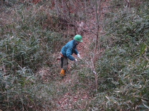 �����̗l�q(�ʐ^)