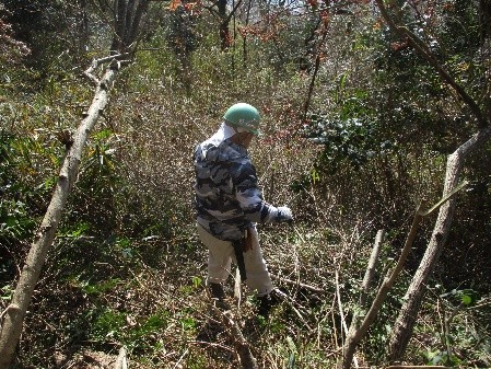 �����̗l�q(�ʐ^)