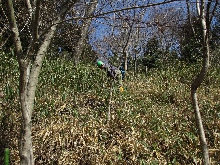 �����̗l�q(�ʐ^)