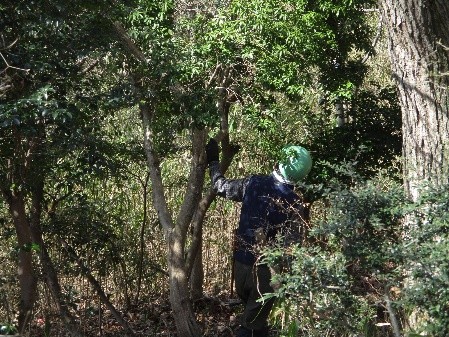 �����̗l�q(�ʐ^)