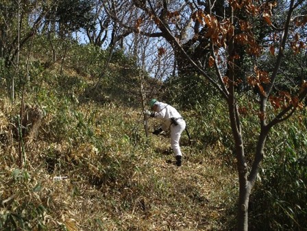 �����̗l�q(�ʐ^)