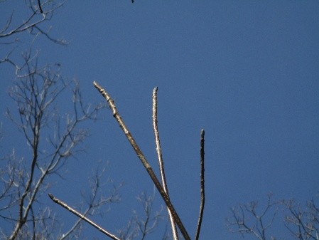 �����̗l�q(�ʐ^)