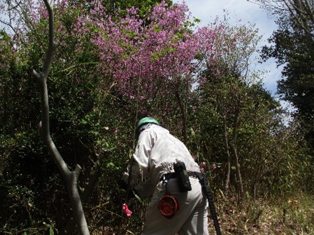 �����̗l�q(�ʐ^)