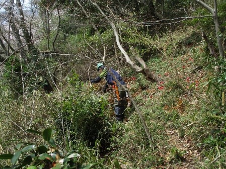 �����̗l�q(�ʐ^)