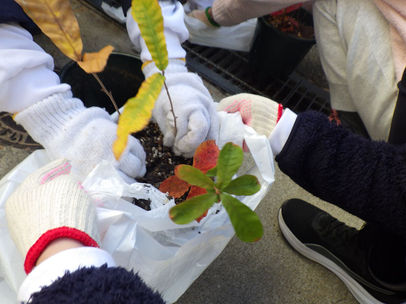 �v���O�����̗l�q