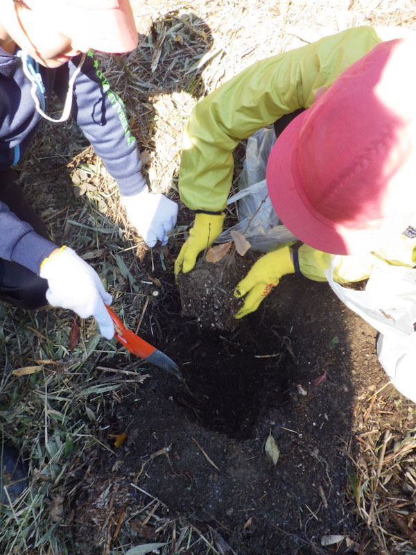 �v���O�����̗l�q