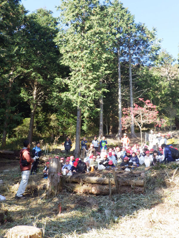 �v���O�����̗l�q