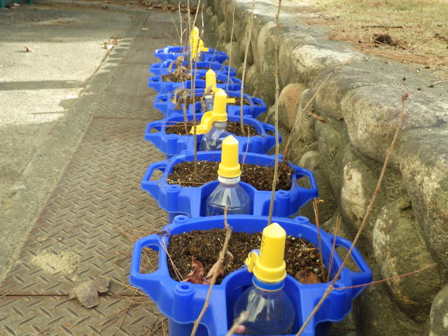 �v���O�����̗l�q