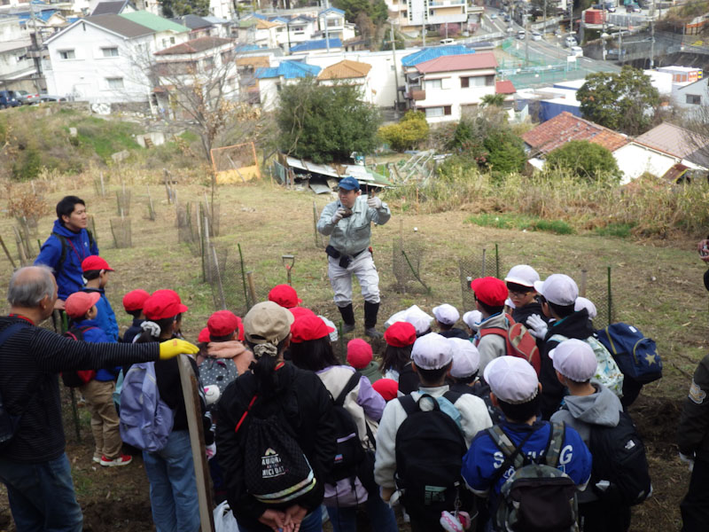 �v���O�����̗l�q