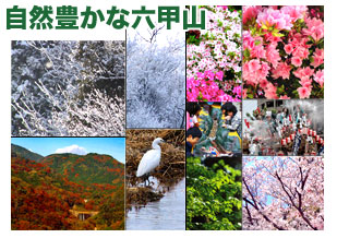 六甲山の四季の自然写真