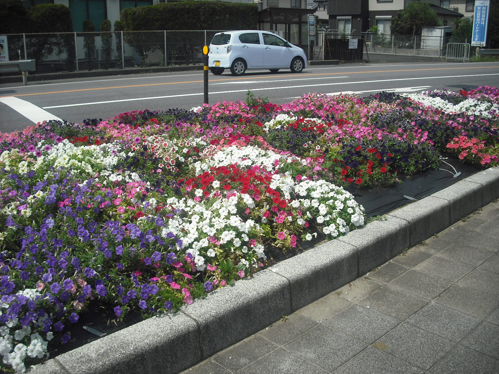 長浜市高月町