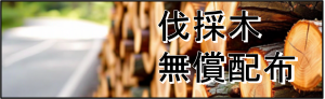 伐採木無償配布