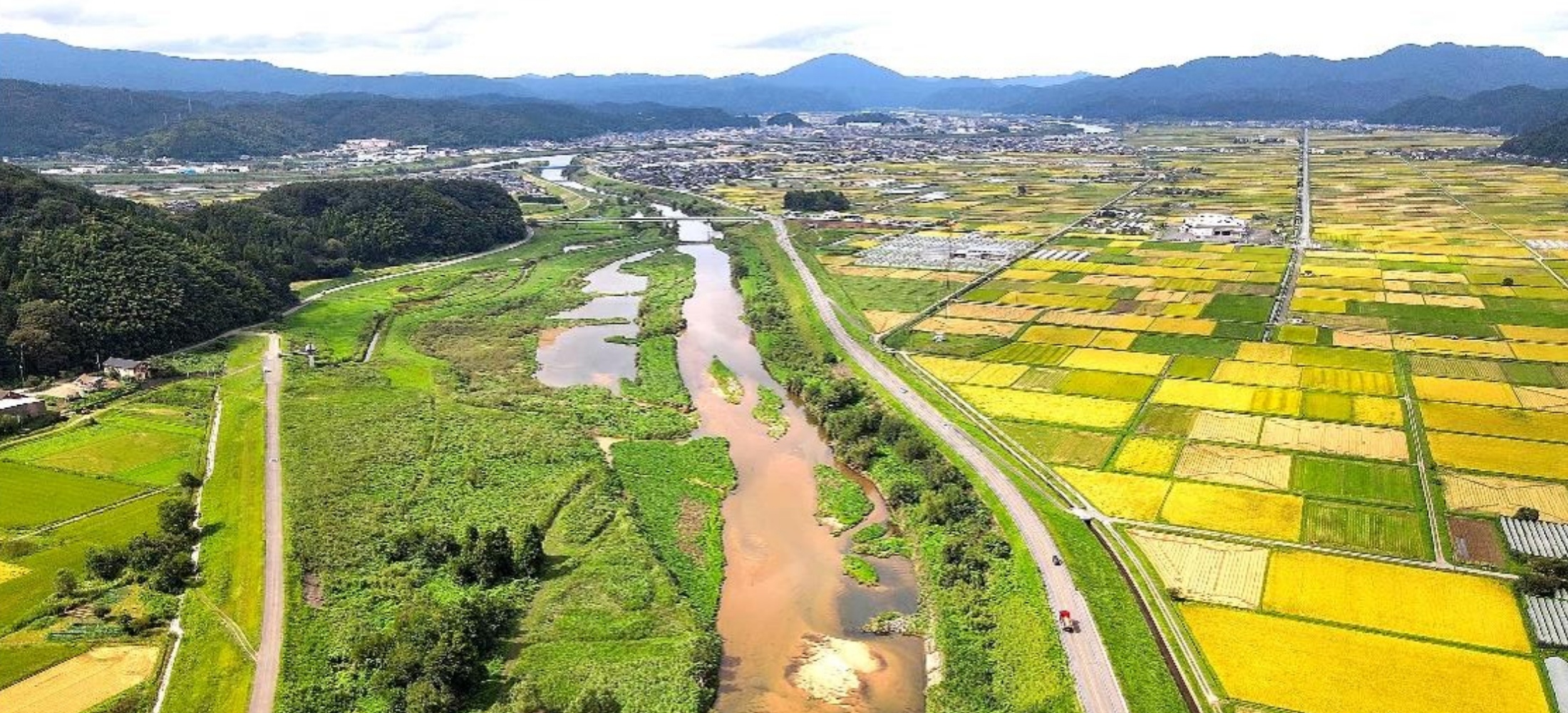 加陽湿地