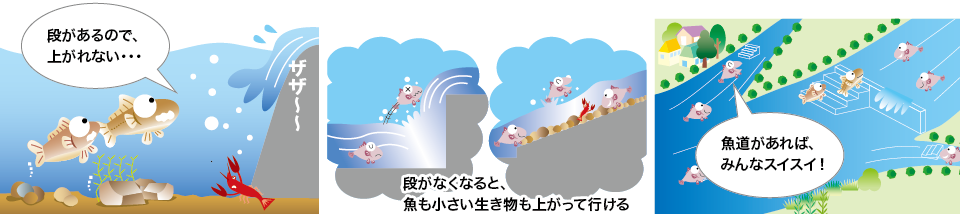 八代水門と寺内第一水門に魚道をつくって、生き物が行き来できるようにする。