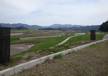 加陽の湿地