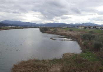 立野の湿地