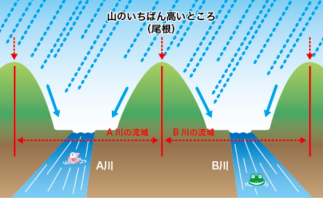 流域イメージ図