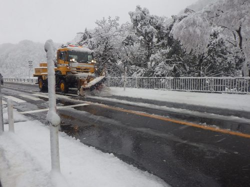 雪害対策