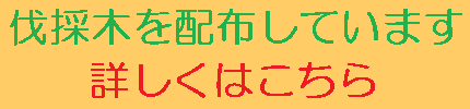 河川内伐採木の無料配布を行います