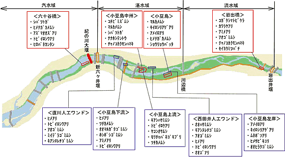 図