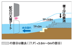 �I�̐�剁���Ɗ����E�V�Z���䉁�����P����