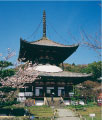 根来寺(岩出市)