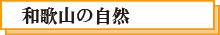 和歌山の自然