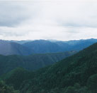 高野山(高野町)